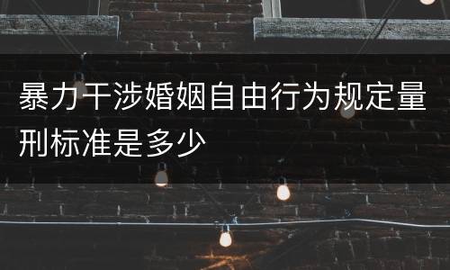 暴力干涉婚姻自由行为规定量刑标准是多少