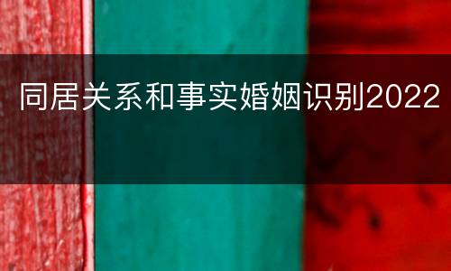 同居关系和事实婚姻识别2022