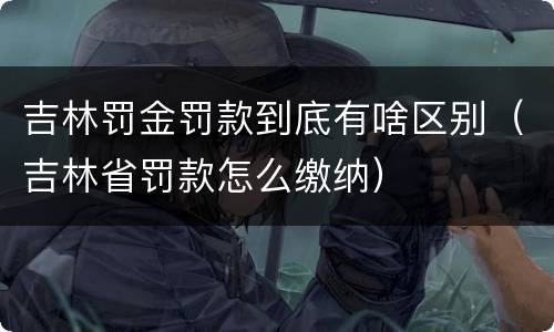 吉林罚金罚款到底有啥区别（吉林省罚款怎么缴纳）