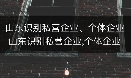 山东识别私营企业、个体企业 山东识别私营企业,个体企业是什么