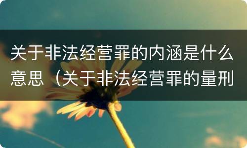 关于非法经营罪的内涵是什么意思（关于非法经营罪的量刑）