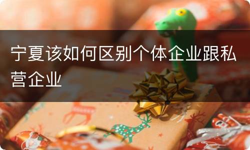 宁夏该如何区别个体企业跟私营企业