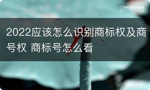 2022应该怎么识别商标权及商号权 商标号怎么看