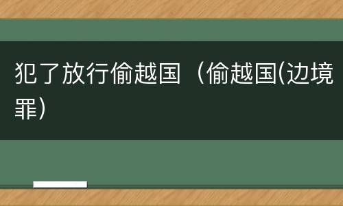 犯了放行偷越国（偷越国(边境罪）