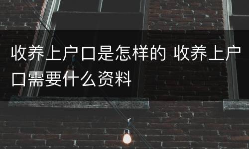 收养上户口是怎样的 收养上户口需要什么资料