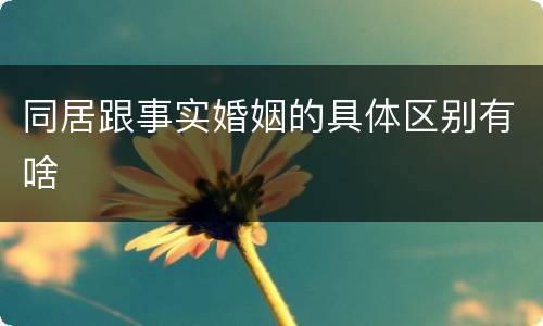 同居跟事实婚姻的具体区别有啥