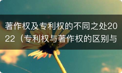 著作权及专利权的不同之处2022（专利权与著作权的区别与联系）