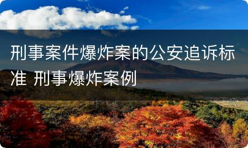 刑事案件爆炸案的公安追诉标准 刑事爆炸案例