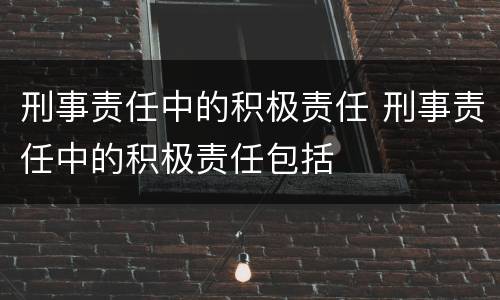 刑事责任中的积极责任 刑事责任中的积极责任包括