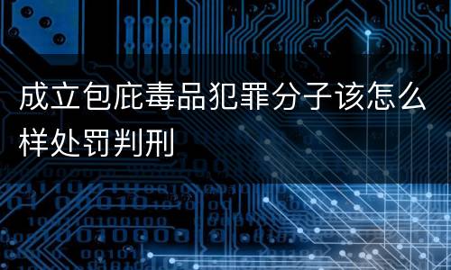 成立包庇毒品犯罪分子该怎么样处罚判刑