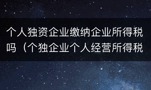 个人独资企业缴纳企业所得税吗（个独企业个人经营所得税怎么缴纳）