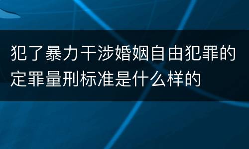 犯了暴力干涉婚姻自由犯罪的定罪量刑标准是什么样的