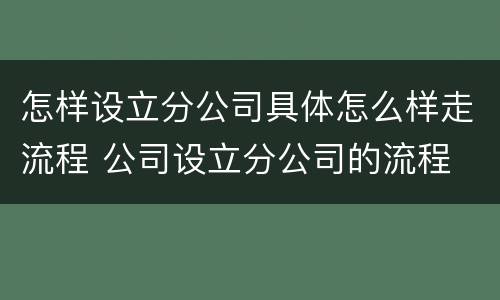 怎样设立分公司具体怎么样走流程 公司设立分公司的流程
