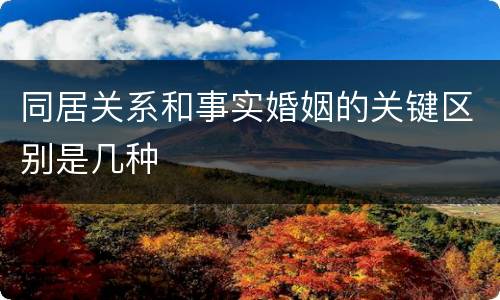 同居关系和事实婚姻的关键区别是几种