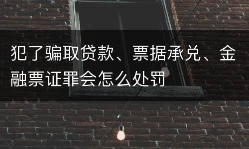 犯了骗取贷款、票据承兑、金融票证罪会怎么处罚