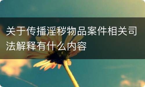 关于传播淫秽物品案件相关司法解释有什么内容