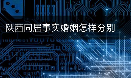 陕西同居事实婚姻怎样分别