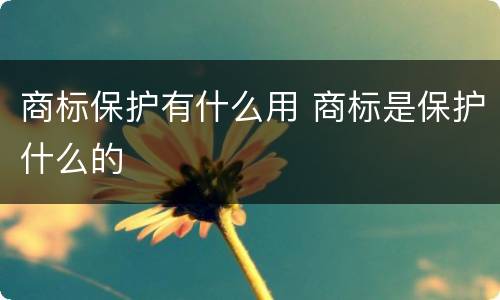商标保护有什么用 商标是保护什么的