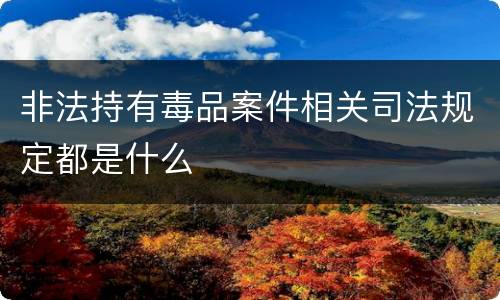 非法持有毒品案件相关司法规定都是什么