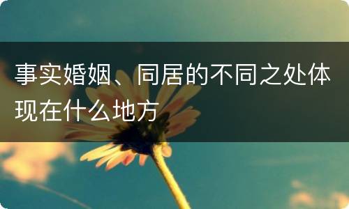 事实婚姻、同居的不同之处体现在什么地方