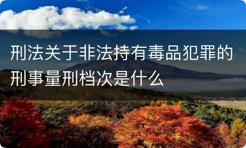 刑法关于非法持有毒品犯罪的刑事量刑档次是什么
