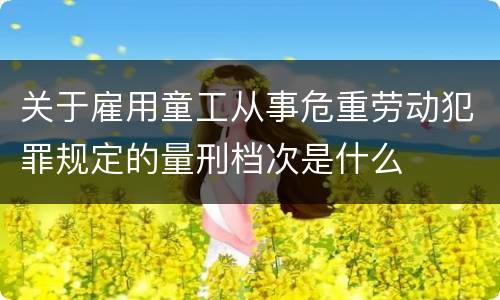 关于雇用童工从事危重劳动犯罪规定的量刑档次是什么