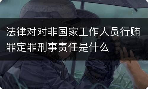 法律对对非国家工作人员行贿罪定罪刑事责任是什么