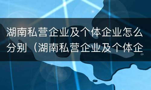 湖南私营企业及个体企业怎么分别（湖南私营企业及个体企业怎么分别认定）