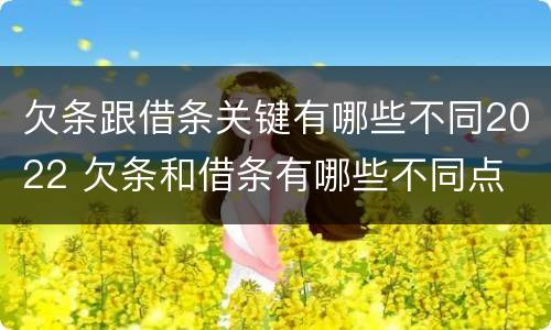 欠条跟借条关键有哪些不同2022 欠条和借条有哪些不同点