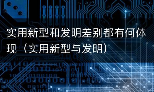 实用新型和发明差别都有何体现（实用新型与发明）