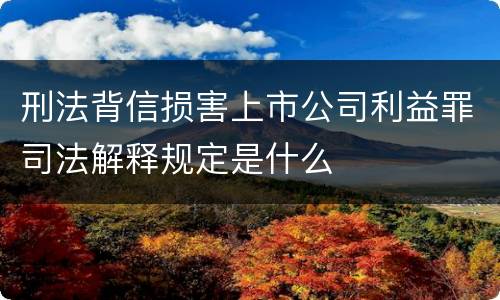 刑法背信损害上市公司利益罪司法解释规定是什么