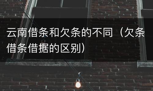 云南借条和欠条的不同（欠条借条借据的区别）