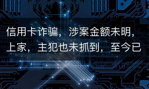 信用卡诈骗，涉案金额未明，上家，主犯也未抓到，至今已有5天，请问可以申请取保吗