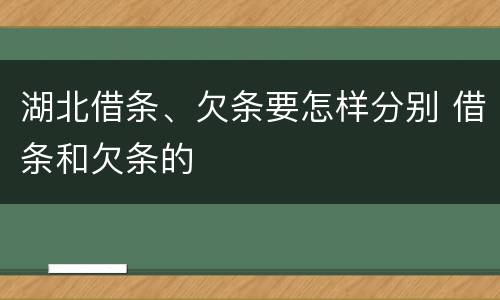 湖北借条、欠条要怎样分别 借条和欠条的