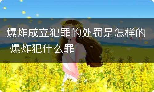 爆炸成立犯罪的处罚是怎样的 爆炸犯什么罪
