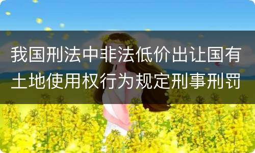 我国刑法中非法低价出让国有土地使用权行为规定刑事刑罚内容是什么