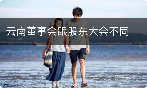 云南董事会跟股东大会不同
