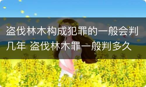 盗伐林木构成犯罪的一般会判几年 盗伐林木罪一般判多久