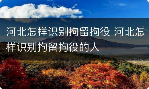 河北怎样识别拘留拘役 河北怎样识别拘留拘役的人