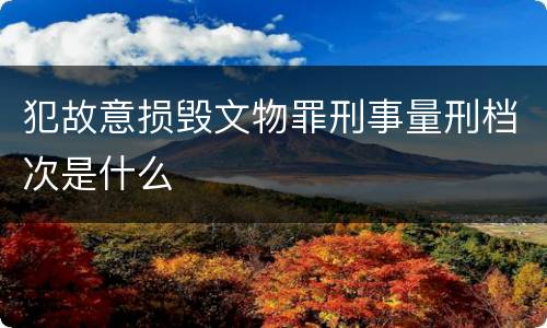 犯故意损毁文物罪刑事量刑档次是什么