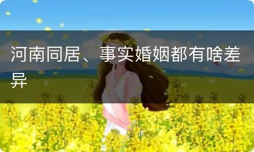 河南同居、事实婚姻都有啥差异