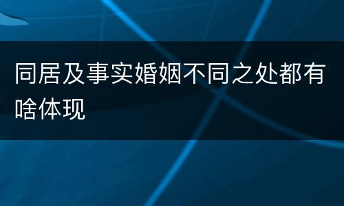 同居及事实婚姻不同之处都有啥体现