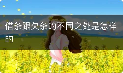 借条跟欠条的不同之处是怎样的