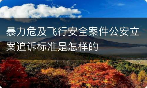 暴力危及飞行安全案件公安立案追诉标准是怎样的