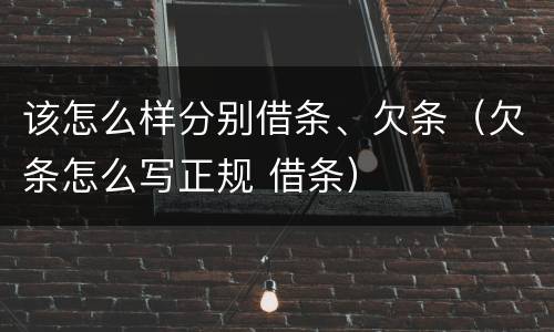 该怎么样分别借条、欠条（欠条怎么写正规 借条）