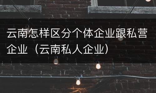 云南怎样区分个体企业跟私营企业（云南私人企业）