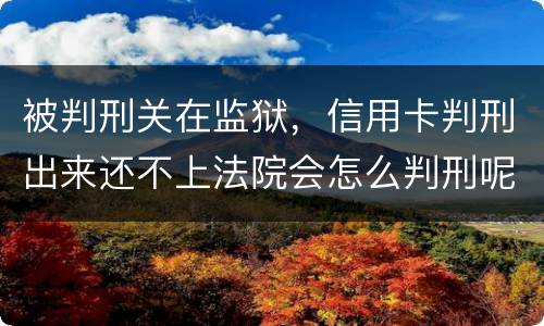 被判刑关在监狱，信用卡判刑出来还不上法院会怎么判刑呢
