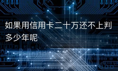 如果用信用卡二十万还不上判多少年呢