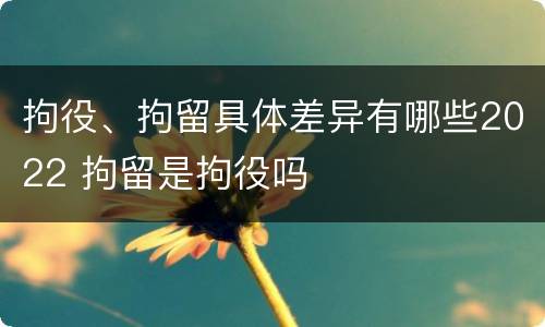 拘役、拘留具体差异有哪些2022 拘留是拘役吗