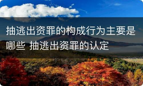 抽逃出资罪的构成行为主要是哪些 抽逃出资罪的认定